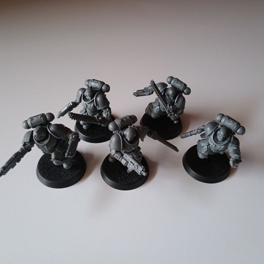 Space Marines Assault Intercessors x 5 Indomitus