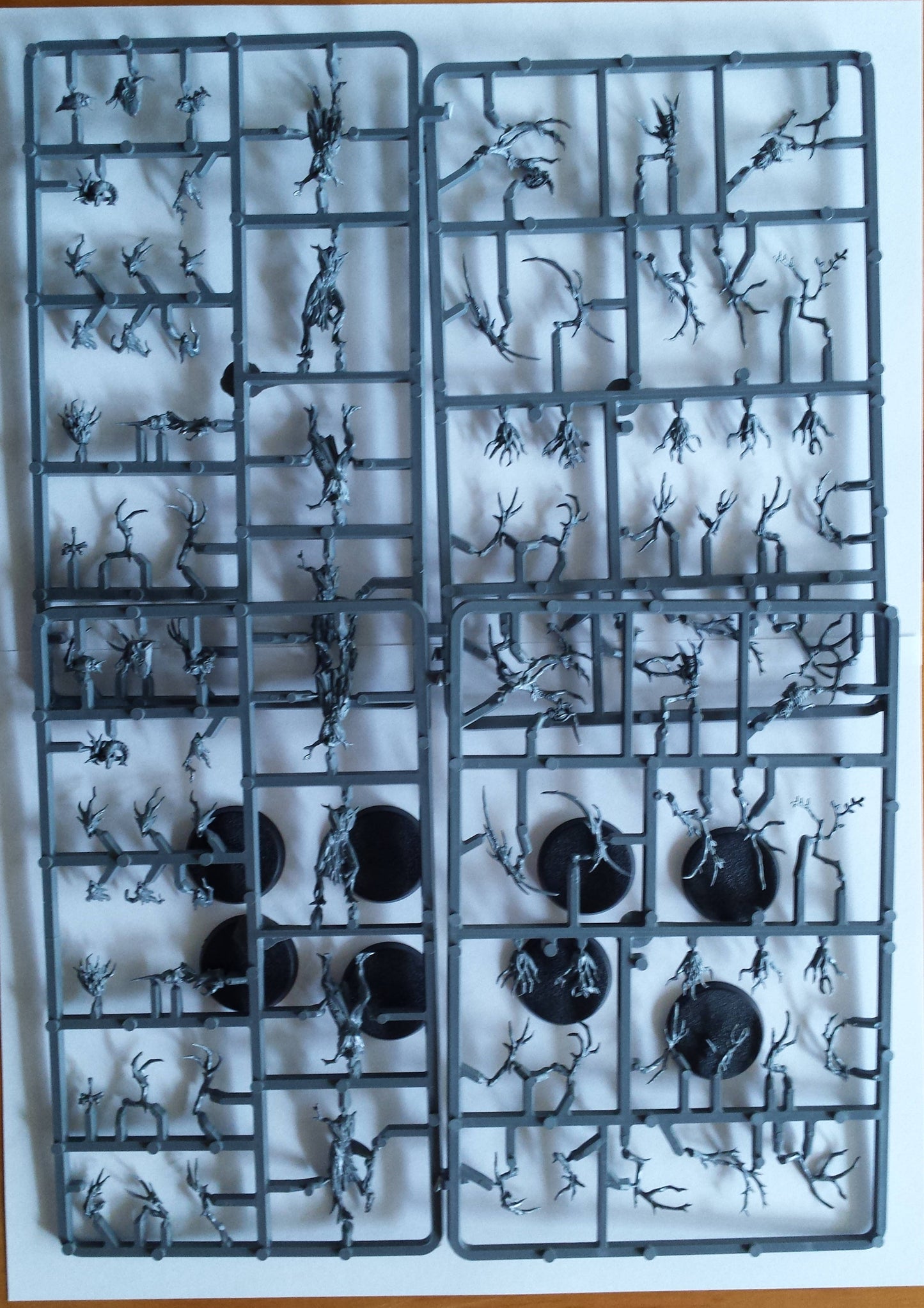 Sylvaneth Dryads x 8 New on Sprue